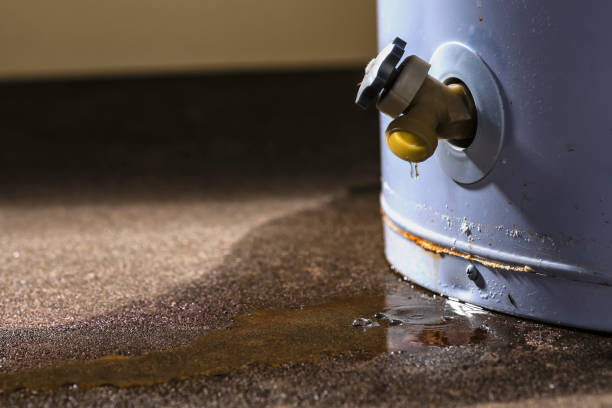 Best Fire Damage Restoration  in Quitman, GA