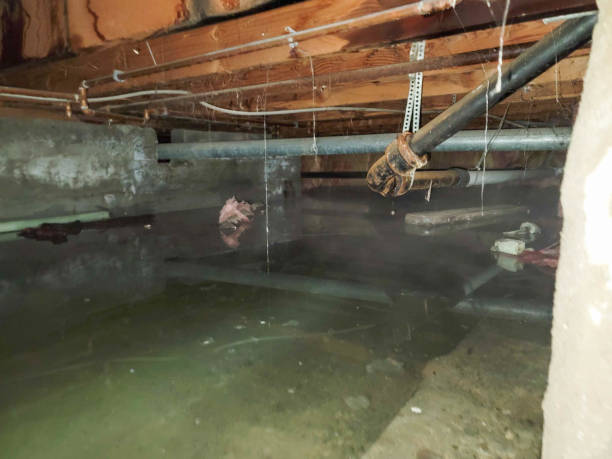Best 24/7 water damage repair  in Quitman, GA