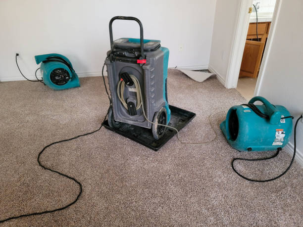 Best Sewage cleanup and water damage restoration  in Quitman, GA