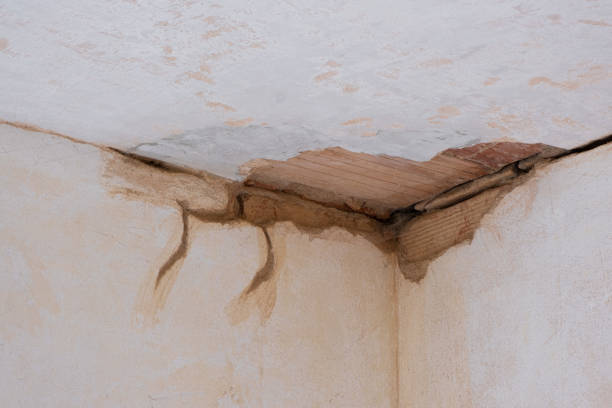 Local water damage restoration in GA