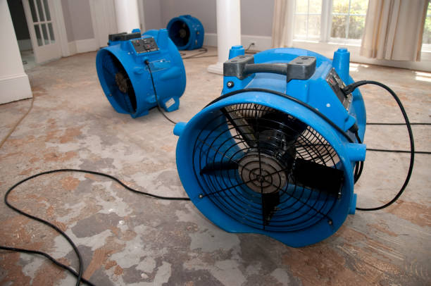 Best Water damage contractors near me  in Quitman, GA