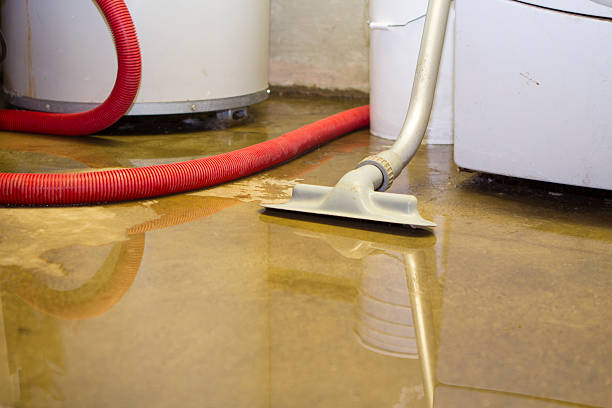  Quitman, GA Water damage restoration Pros