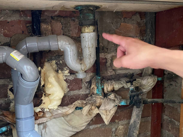 Best Basement water damage restoration  in Quitman, GA