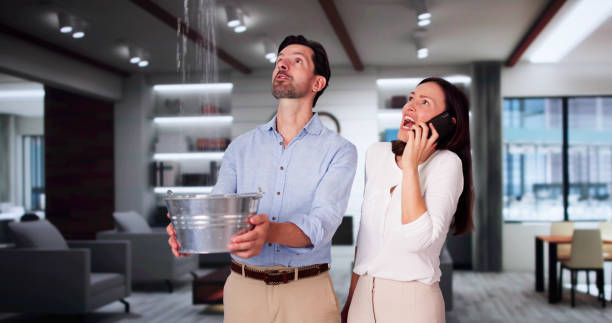 Best Flooded house restoration  in Quitman, GA