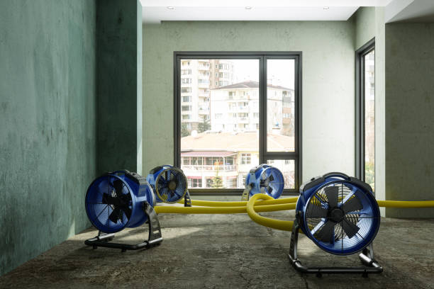 Best Carpet water damage restoration  in Quitman, GA