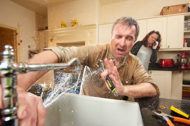 Best Flooded house restoration  in Quitman, GA